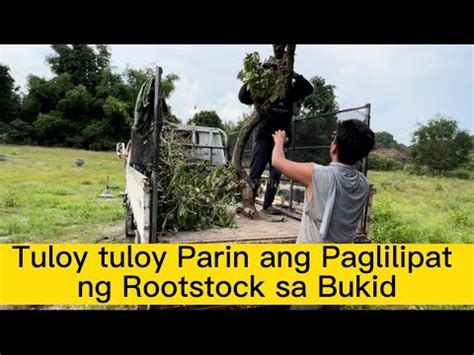 Ang Paglilipat sa Bukid A Colorful and Nostalgic Journey Through Rural Life